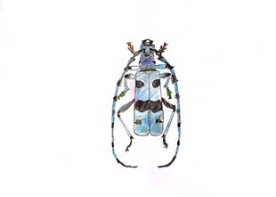 Ларионов Юрий Михайлович
